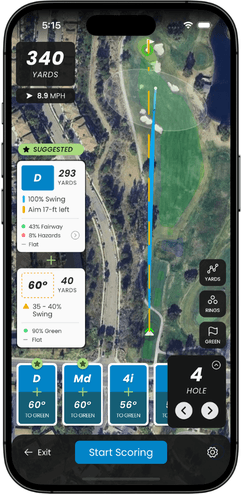 Tree collision detection strategy preview